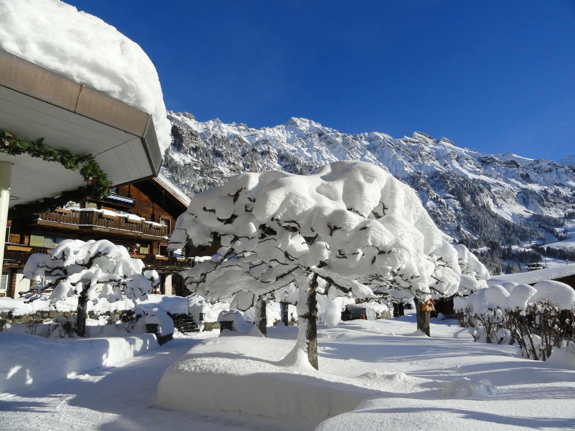 Hotel Alpenruhe - Vintage Design Hotel Wengen Exterior photo